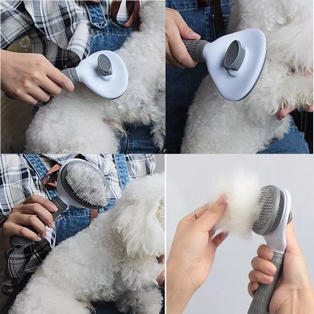 🔥 ¡No más pelos, nudos ni pulgas! Haz feliz a tu mascota HOY 🐾