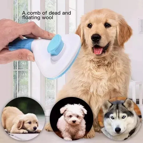 🔥 ¡No más pelos, nudos ni pulgas! Haz feliz a tu mascota HOY 🐾